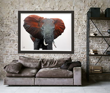 A Nicky van Rensburg painting of an elephant